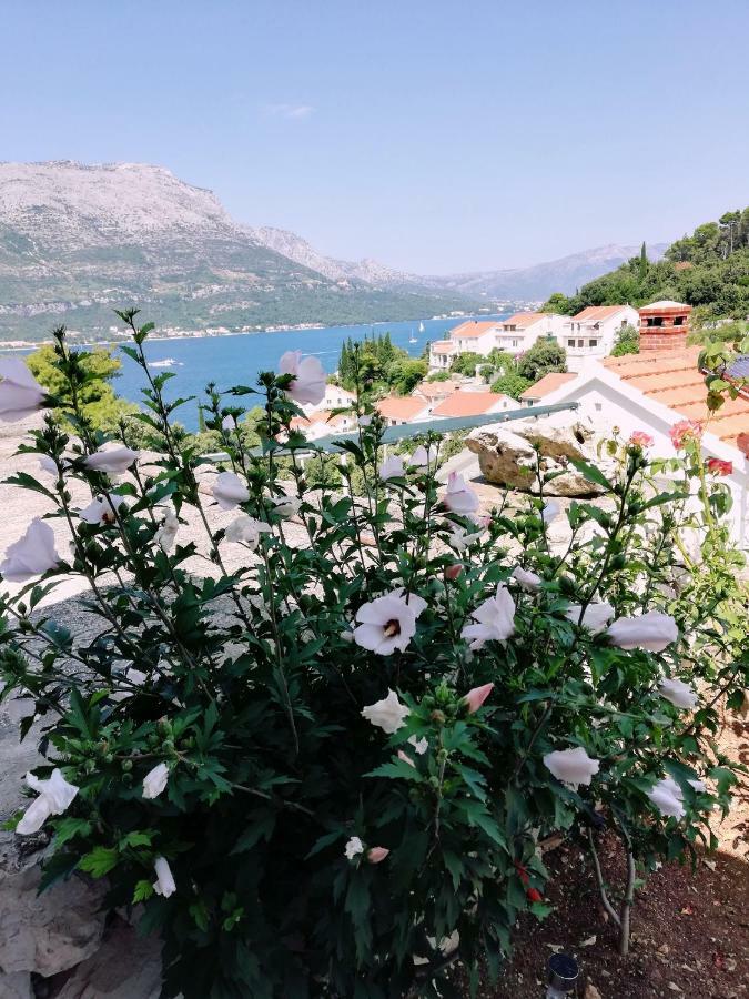 Amore Korčula Exteriör bild